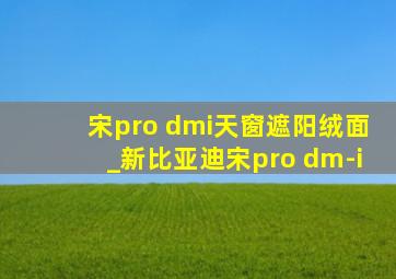 宋pro dmi天窗遮阳绒面_新比亚迪宋pro dm-i